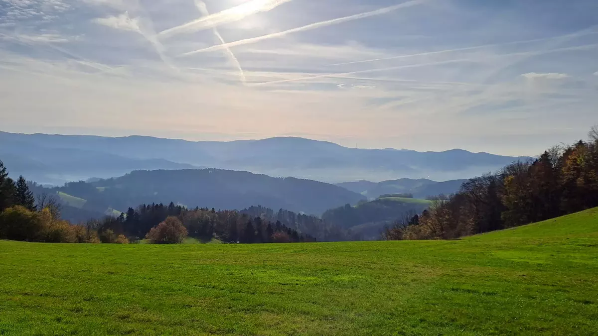 Berge und Täler im Schwarzwald. Foto: LpB BW Berge und Täler im Schwarzwald. Foto: LpB BW