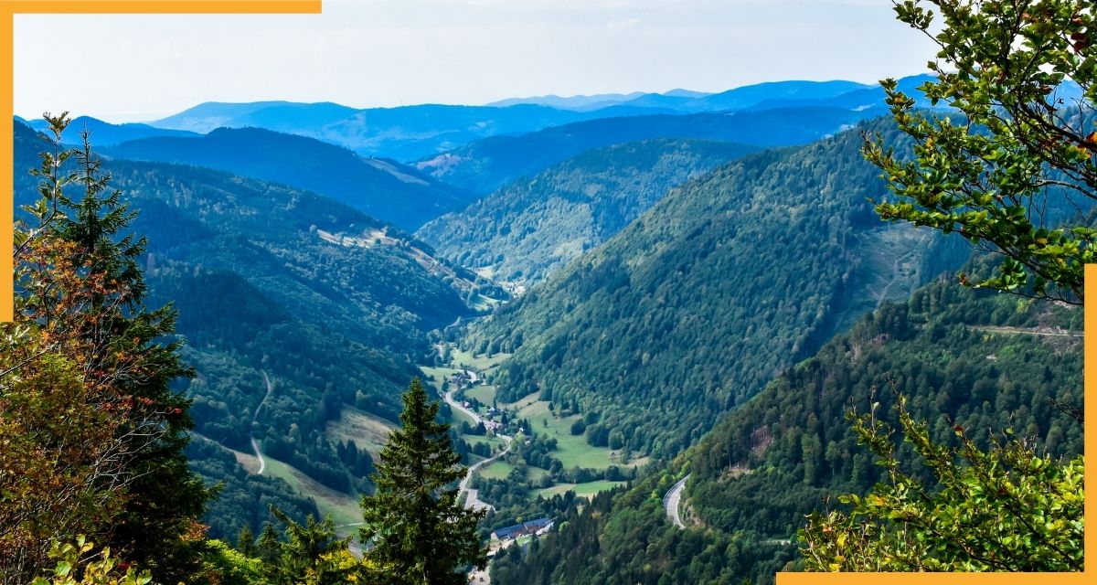 Blick vom Feldberg im Schwarzwald. Foto via Canva.